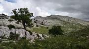 Trekking sul Monte Corrasi ad Oliena escursione e visita Guidata
