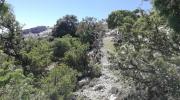 Trekking sul Monte Corrasi ad Oliena escursione e visita Guidata
