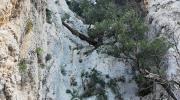 Escursione e visita guidata nel Supramonte di Dorgali e Cala Gonone