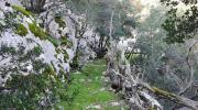 Escursione a Tiscali valle di Lanaitho e Oliena