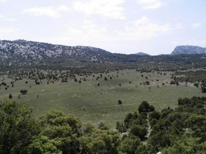 Escursione S'arenarju - Donianicoro