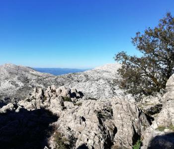 Supramonte di Oliena