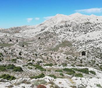 Supramonte di Oliena