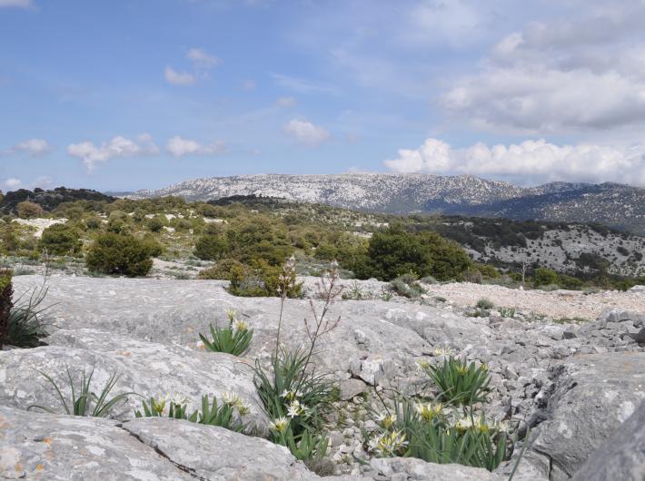 Vista del Supramonte di Orgosolo
