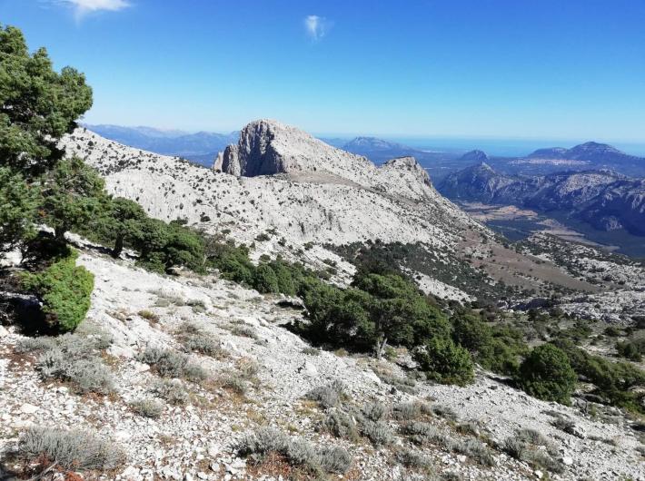Il Supramonte di Oliena