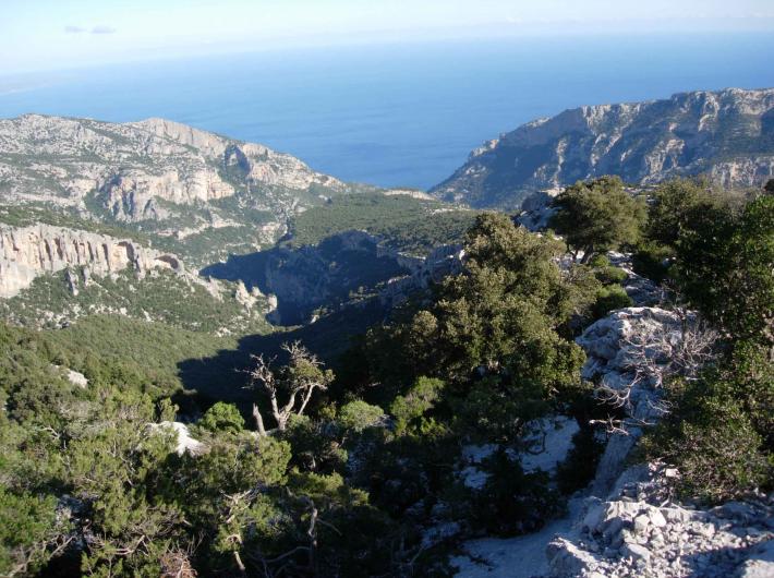 Il supramonte di Baunei, si estende sino al mare