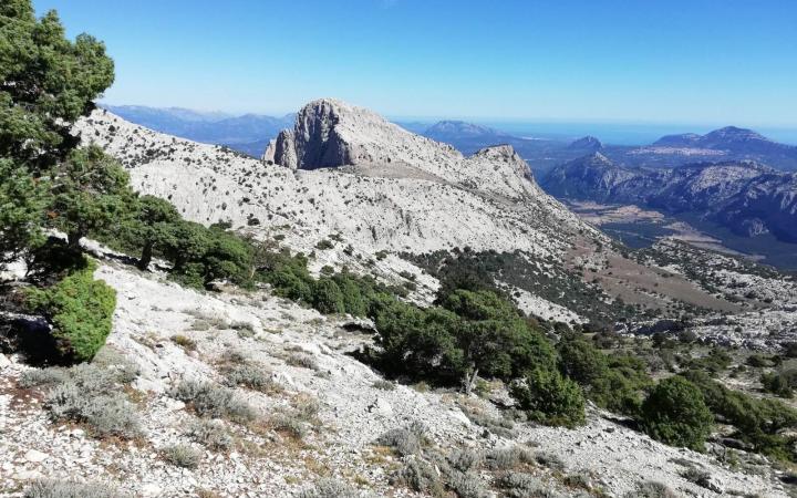 Il Supramonte di Oliena