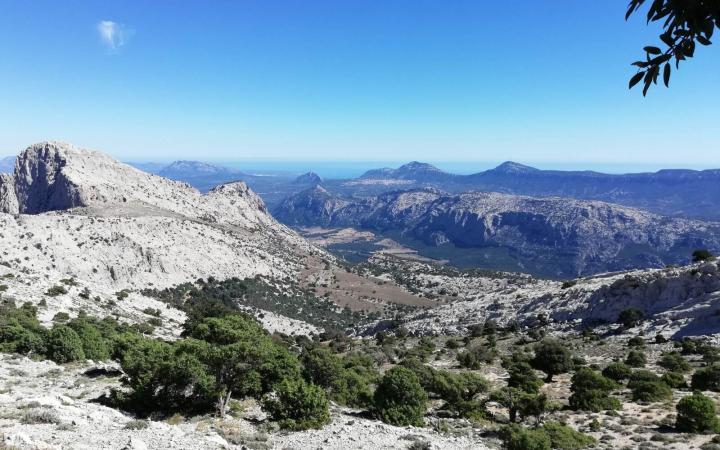 Spettacolare vista dal Monte Corrasi