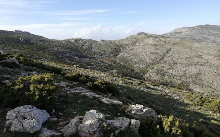 Vista sulle cime del Gennargentu