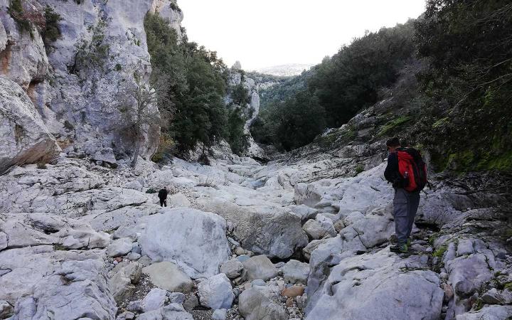 Il canyon scavato dalle acque del Rio Flumineddu