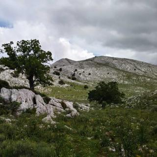 Supramonte di Oliena